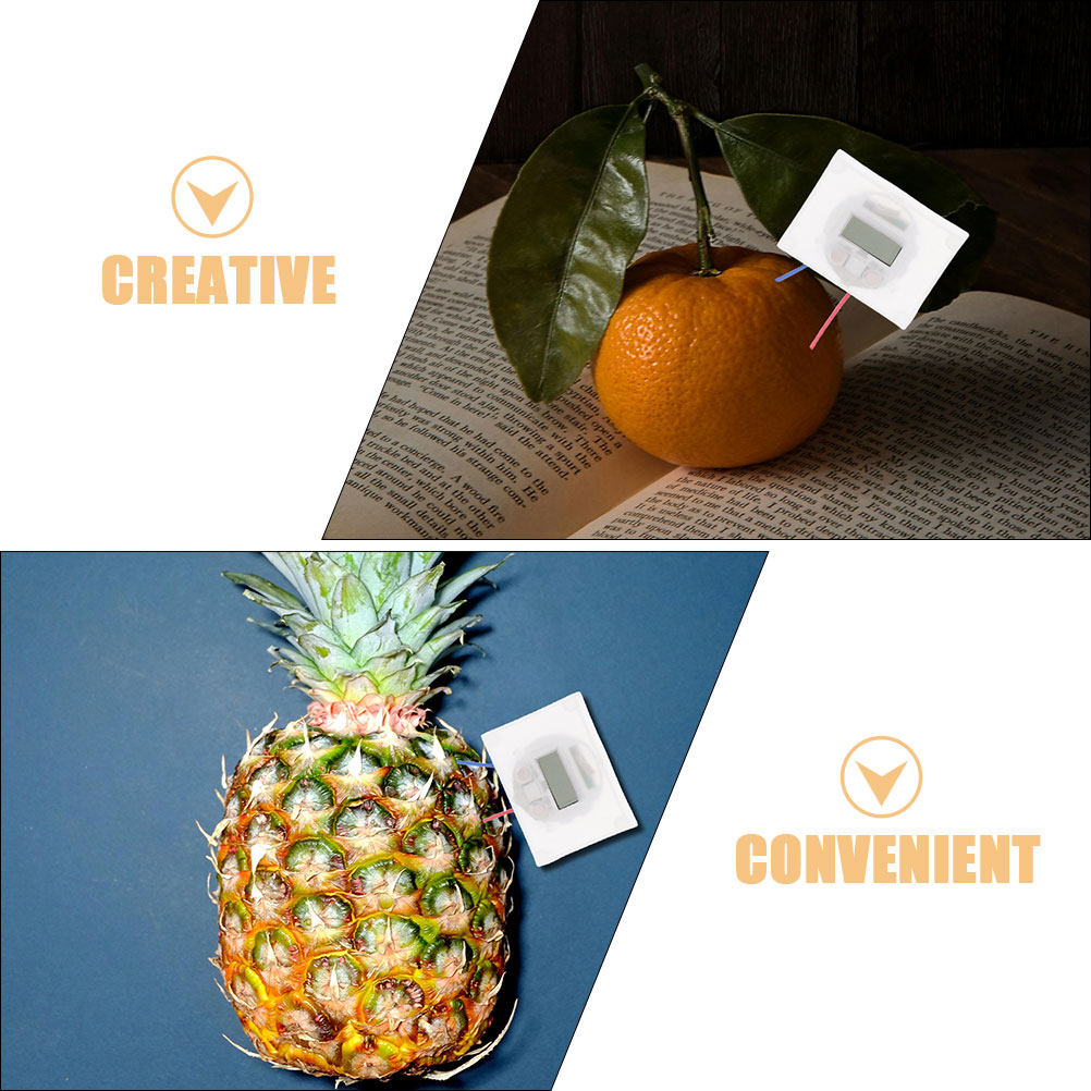 2Sets DIY Fruit Battery Scienc - đánh giá và giá Diy Electronics Projects For Students