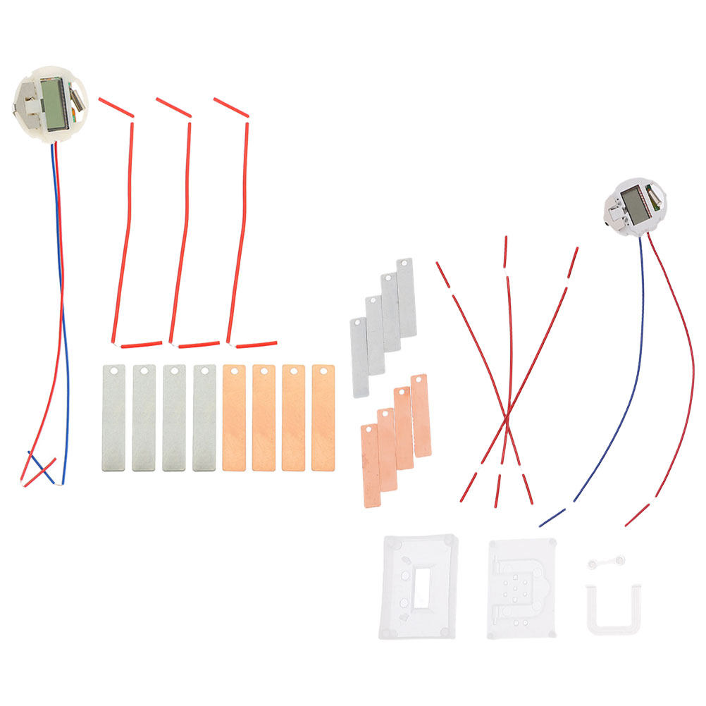 2Sets DIY Fruit Battery Scienc - đánh giá và giá Diy Electronics Projects For Students
