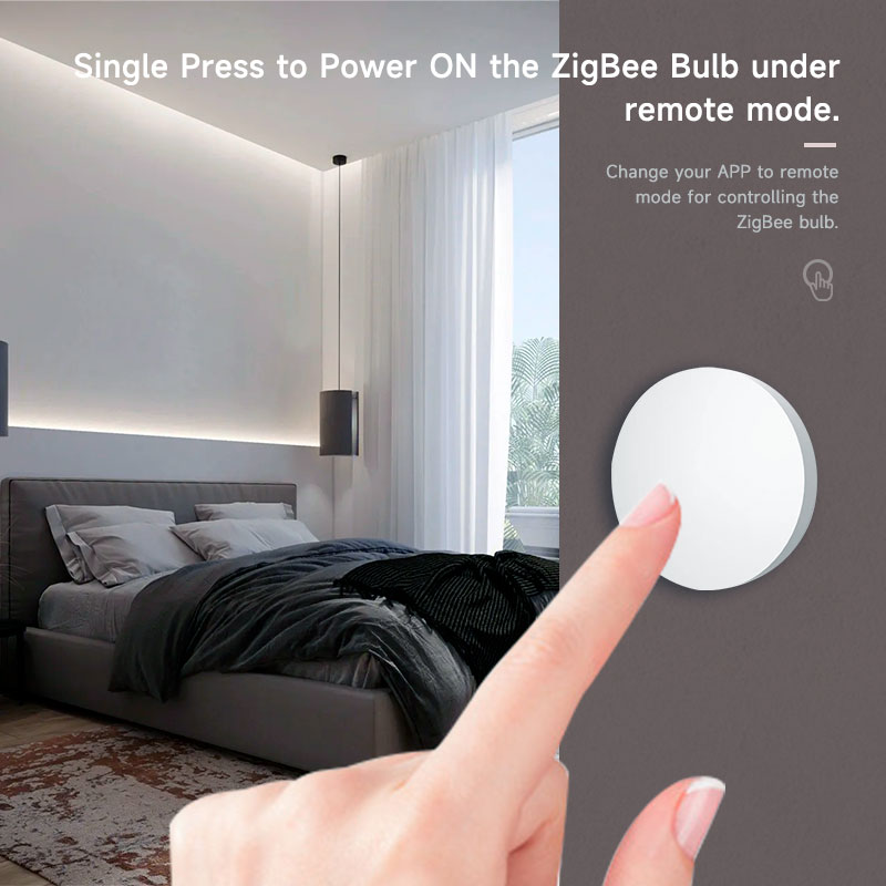 Zigbee3.0 2MQTT Smart Button S - đánh giá và giá Diy Electronics Button